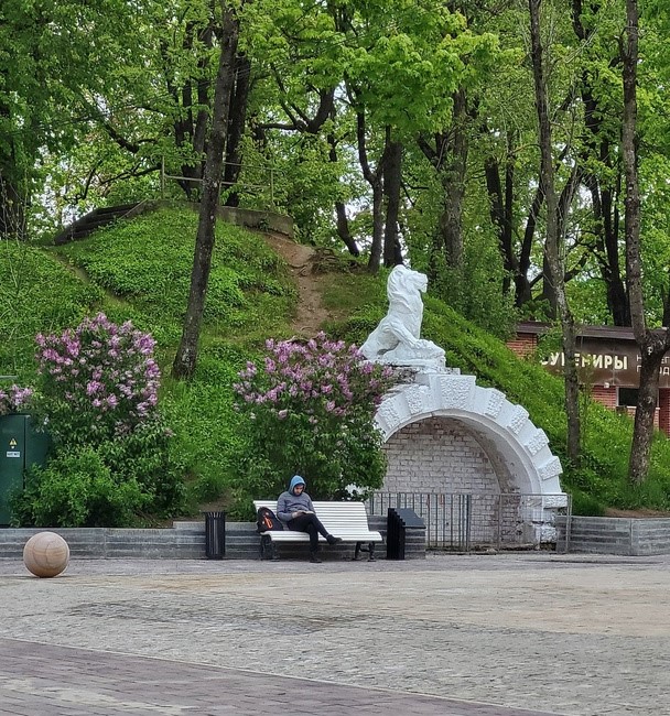 Волонтёрский фестиваль «Концентрат добра» пройдёт 22 августа в Лопатинском саду