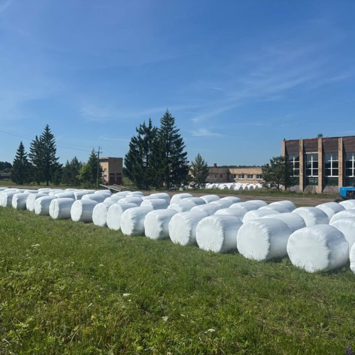 Смоленщина ставит рекорды: агропромышленный комплекс региона вырос более чем на 10%