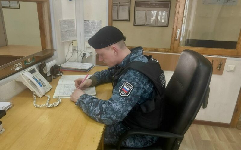 В Смоленской области задержали неплательщицу алиментов в розыске