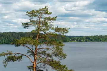Поозерье — жемчужина Смоленщины