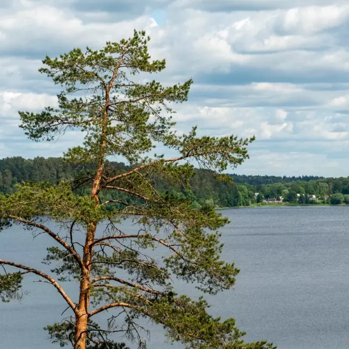 Поозерье — жемчужина Смоленщины