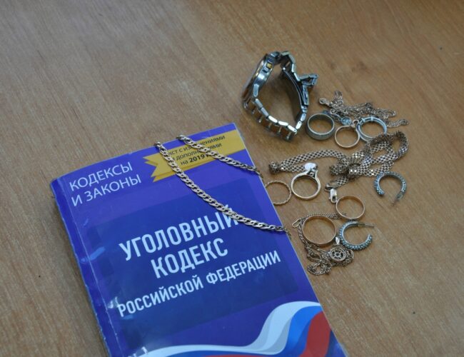 Полицейские раскрыли кражу у пенсионерки в Починковском округе