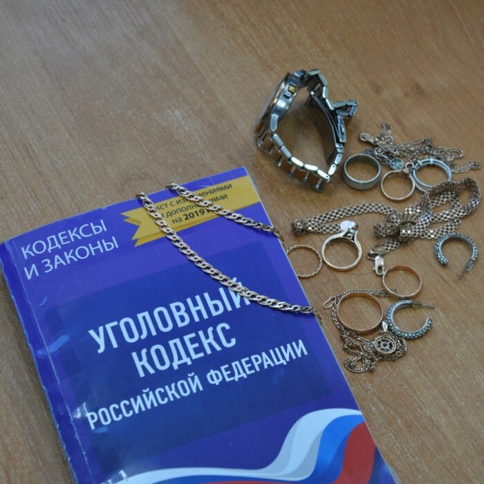 Полицейские раскрыли кражу у пенсионерки в Починковском округе