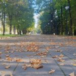 Конец рабочей недели в Смоленской области будет теплым и без осадков