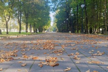 Конец рабочей недели в Смоленской области будет теплым и без осадков