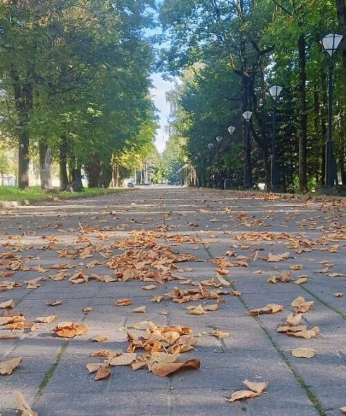 Конец рабочей недели в Смоленской области будет теплым и без осадков