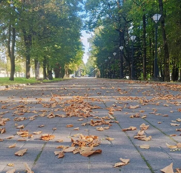 Конец рабочей недели в Смоленской области будет теплым и без осадков